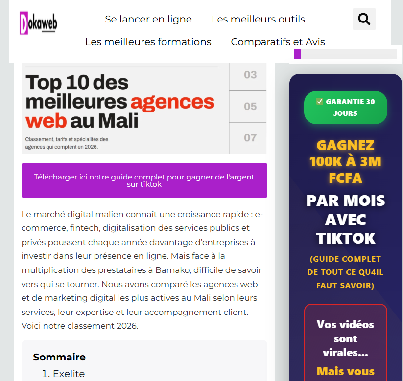 Capture de l'article Top 10 des meilleurs agences web au Mali